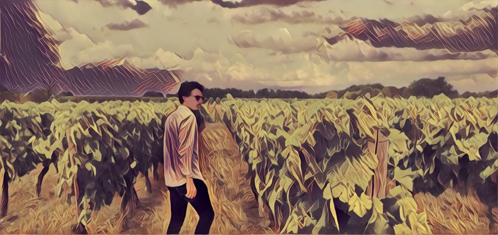 Through the grapevine Hors d'Age