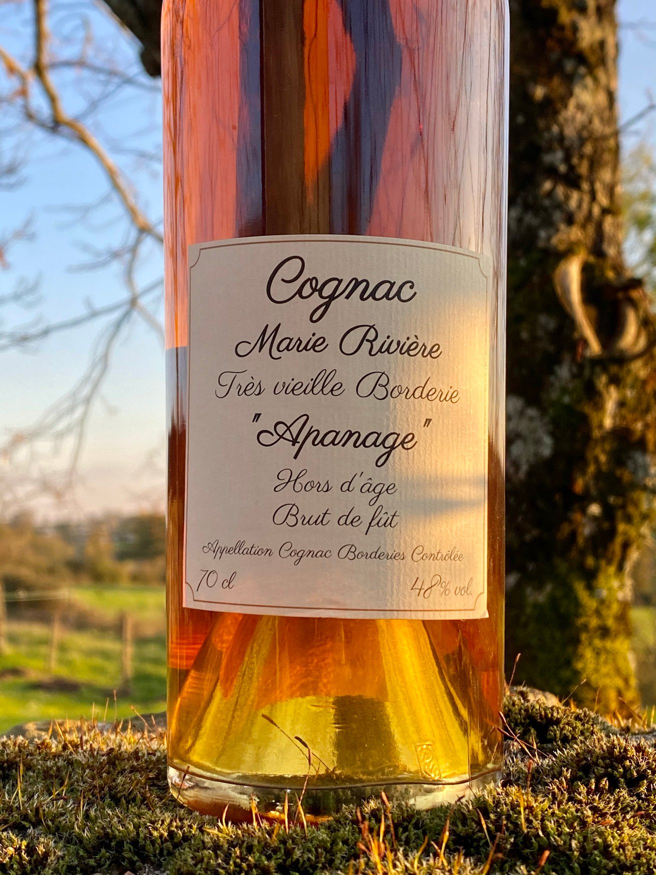Héritage René Rivière Apanage tasting notes 2